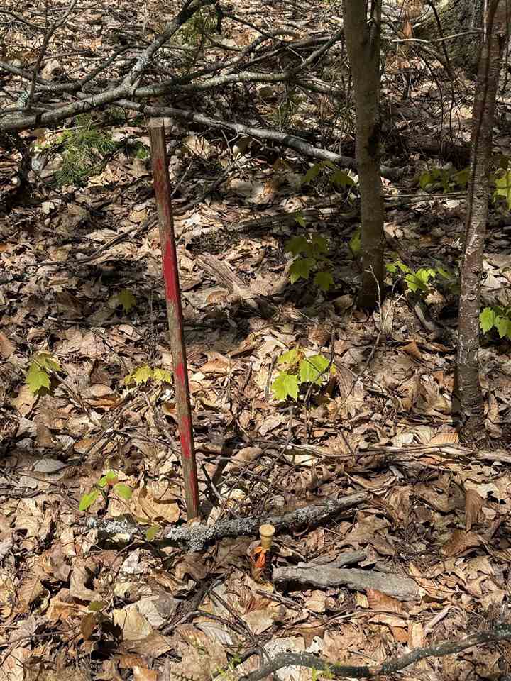 Tbd Eastridge Drive Gaylord MI 49735