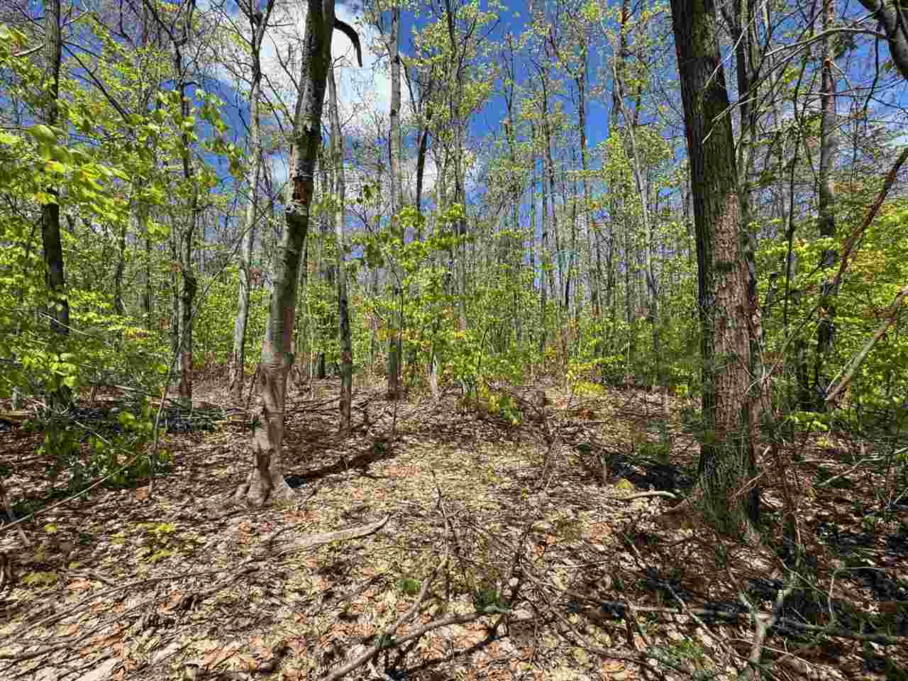 Tbd Eastridge Drive Gaylord MI 49735