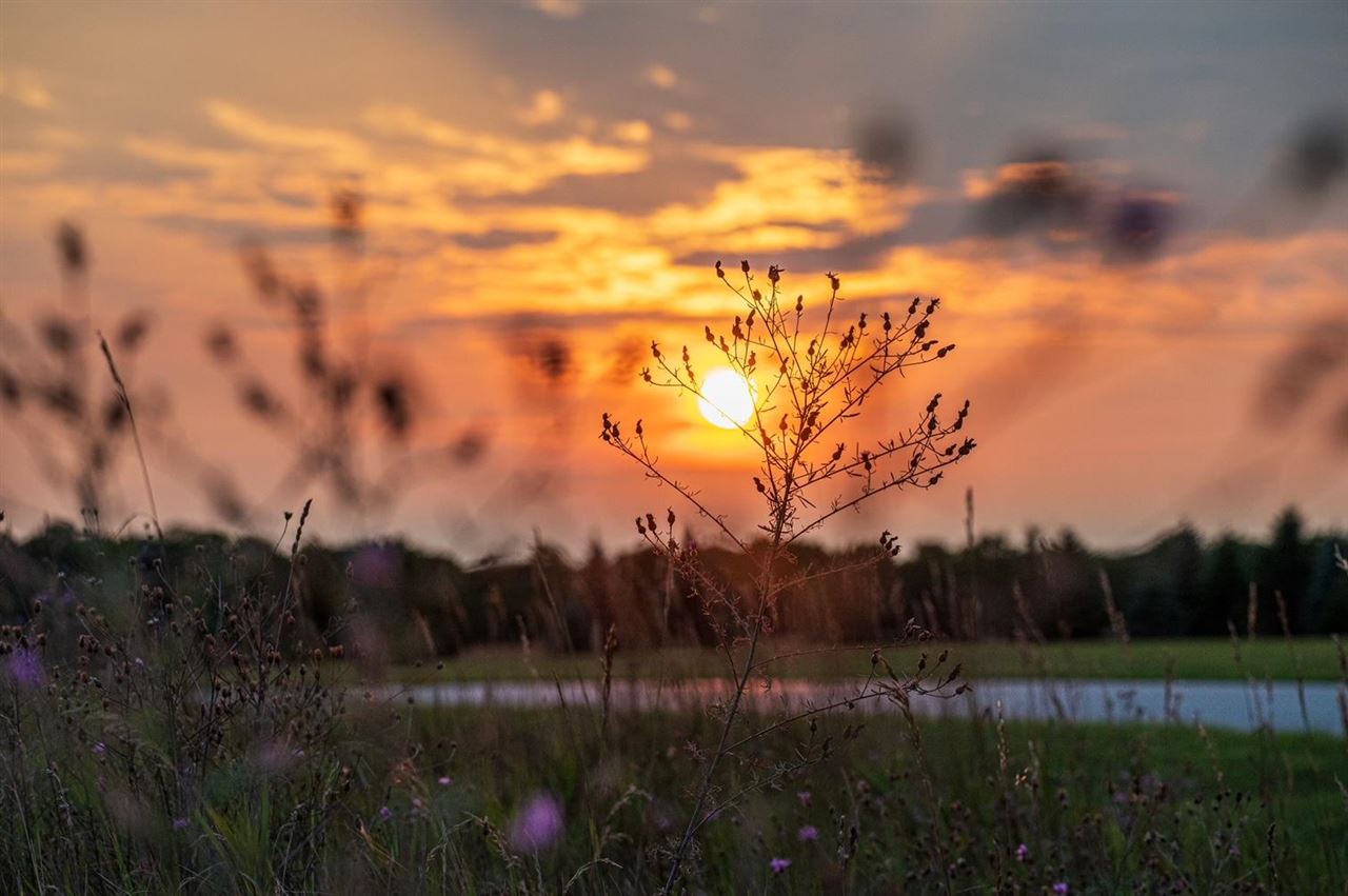 8100 Broken Ridge Harbor Springs MI 49740