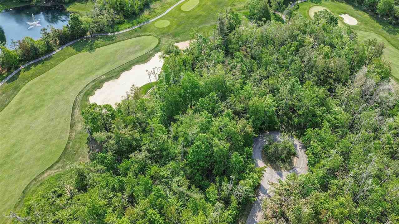 4121 East Ridge Court Harbor Springs MI 49740