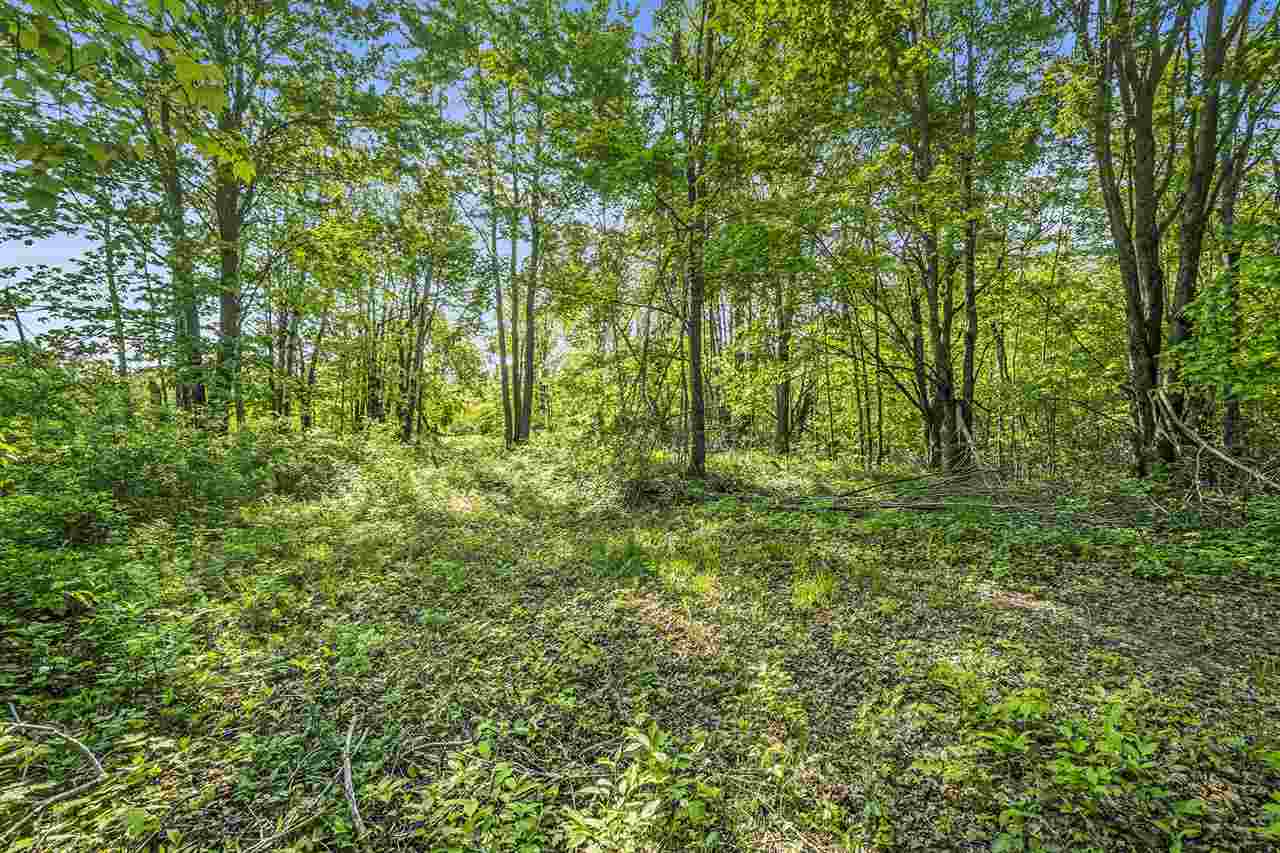 4121 East Ridge Court Harbor Springs MI 49740