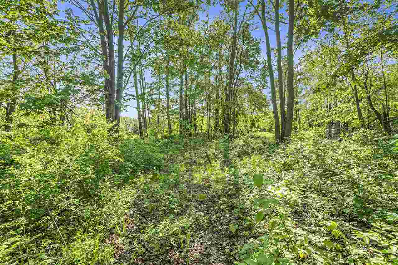 4121 East Ridge Court Harbor Springs MI 49740