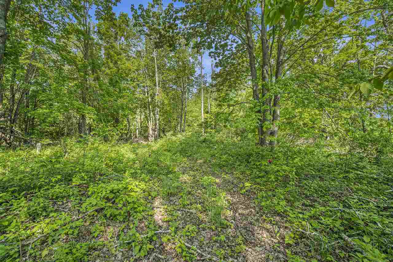 4121 East Ridge Court Harbor Springs MI 49740