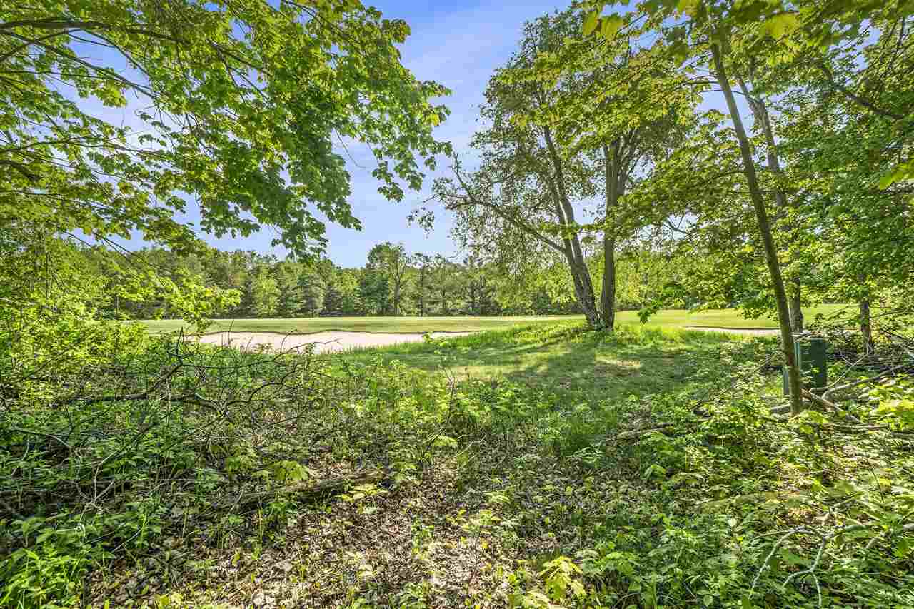 4121 East Ridge Court Harbor Springs MI 49740