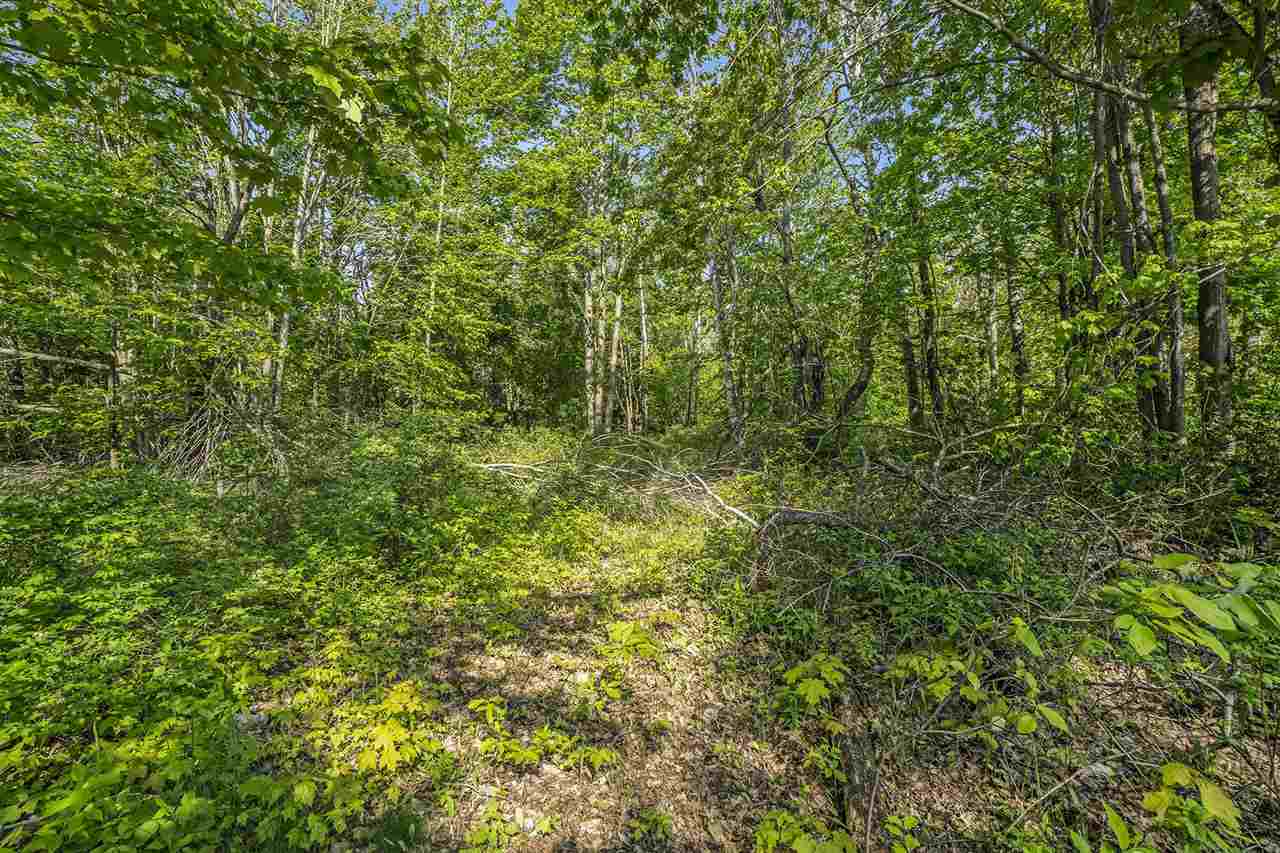 4121 East Ridge Court Harbor Springs MI 49740