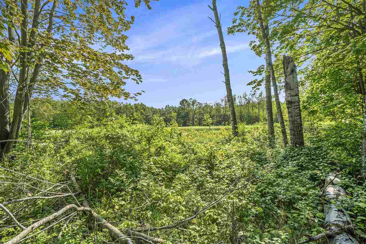 4121 East Ridge Court Harbor Springs MI 49740