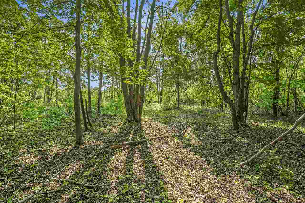 4121 East Ridge Court Harbor Springs MI 49740