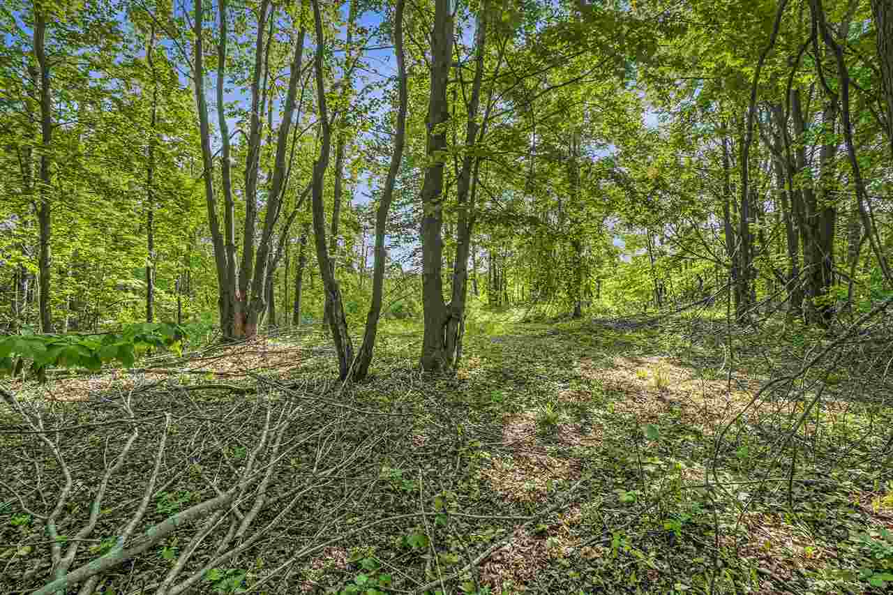 4121 East Ridge Court Harbor Springs MI 49740