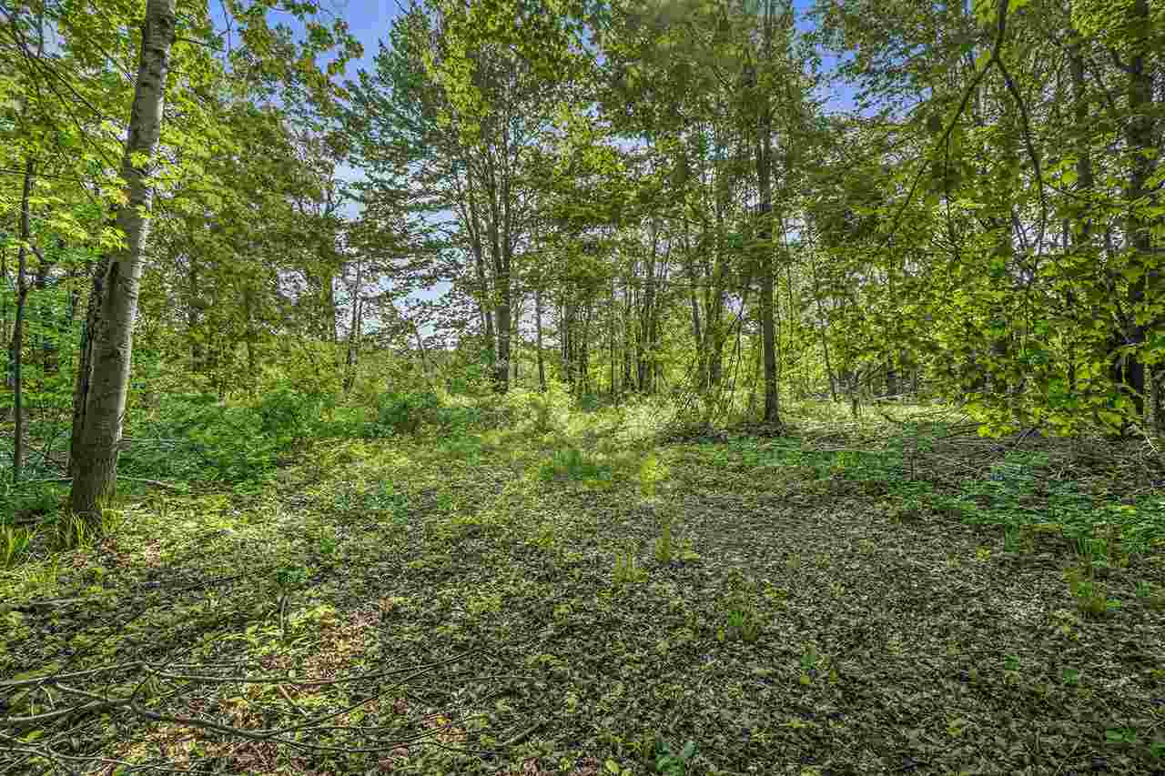 4121 East Ridge Court Harbor Springs MI 49740