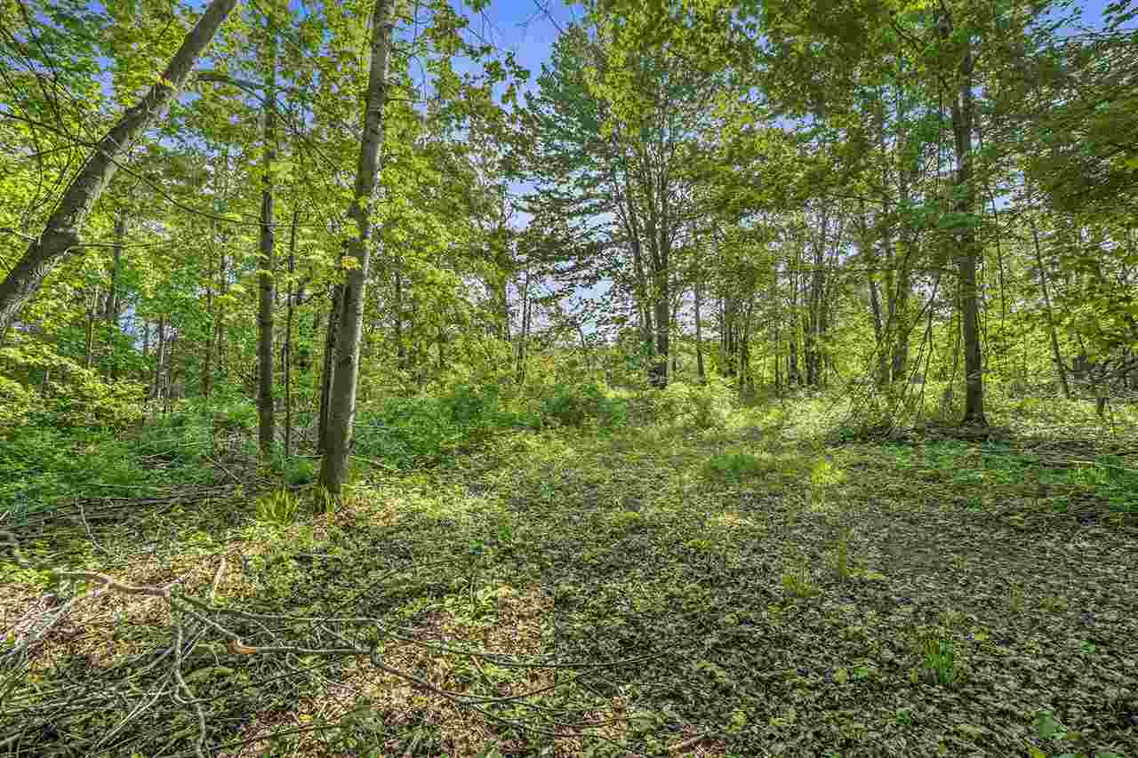 4121 East Ridge Court Harbor Springs MI 49740