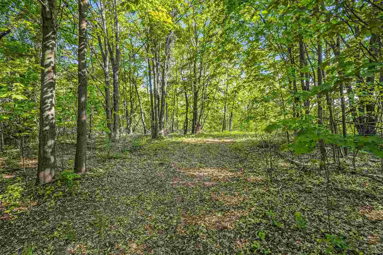 4121 East Ridge Court Harbor Springs MI 49740