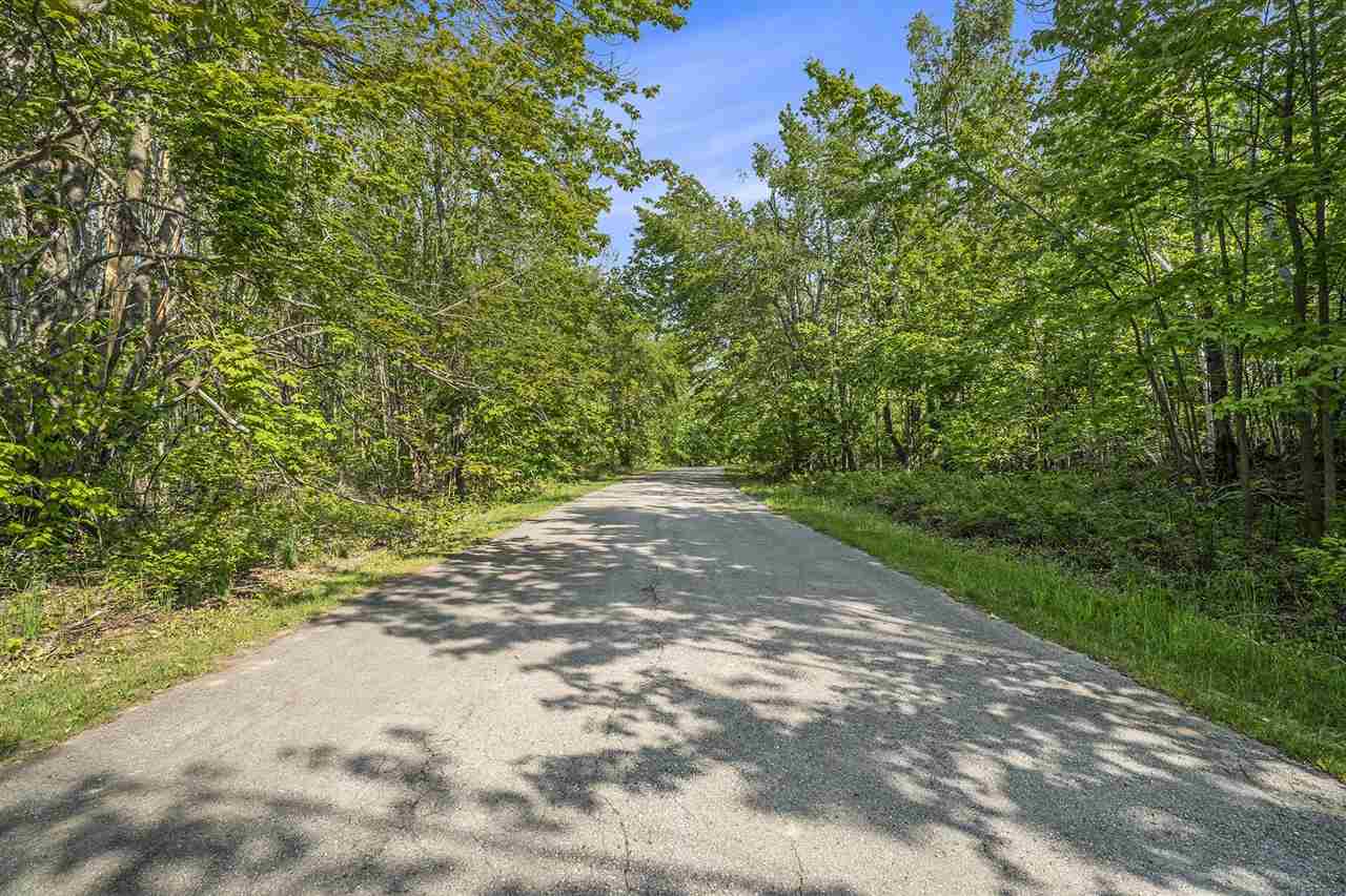 4121 East Ridge Court Harbor Springs MI 49740