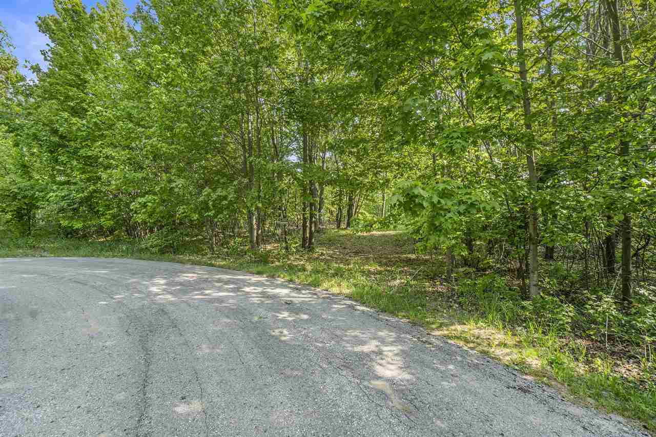 4121 East Ridge Court Harbor Springs MI 49740