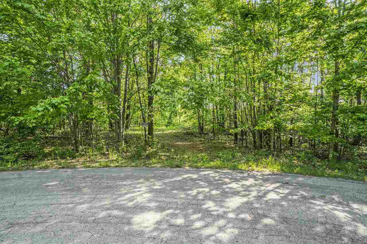 4121 East Ridge Court Harbor Springs MI 49740