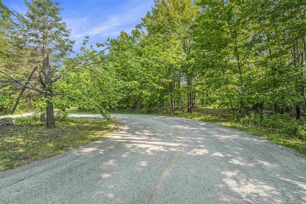 4121 East Ridge Court Harbor Springs MI 49740