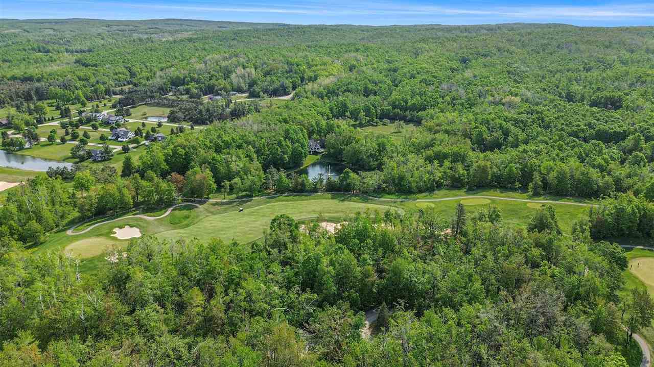 4121 East Ridge Court Harbor Springs MI 49740