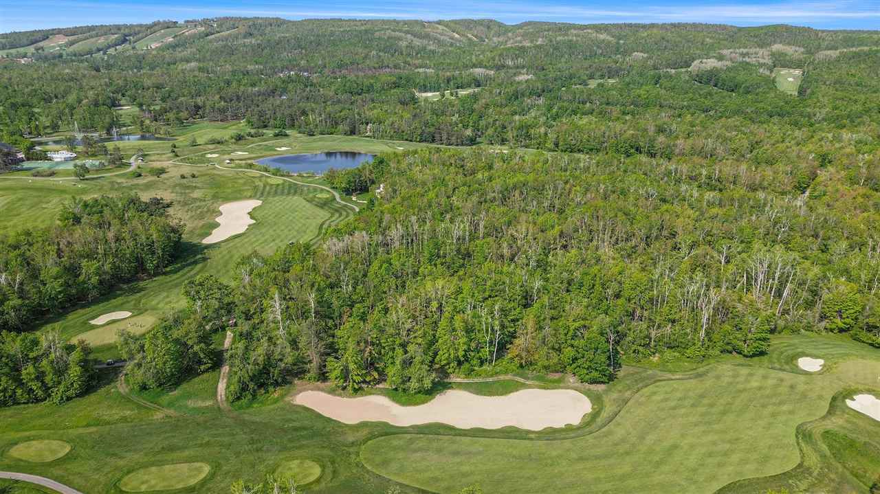 4121 East Ridge Court Harbor Springs MI 49740