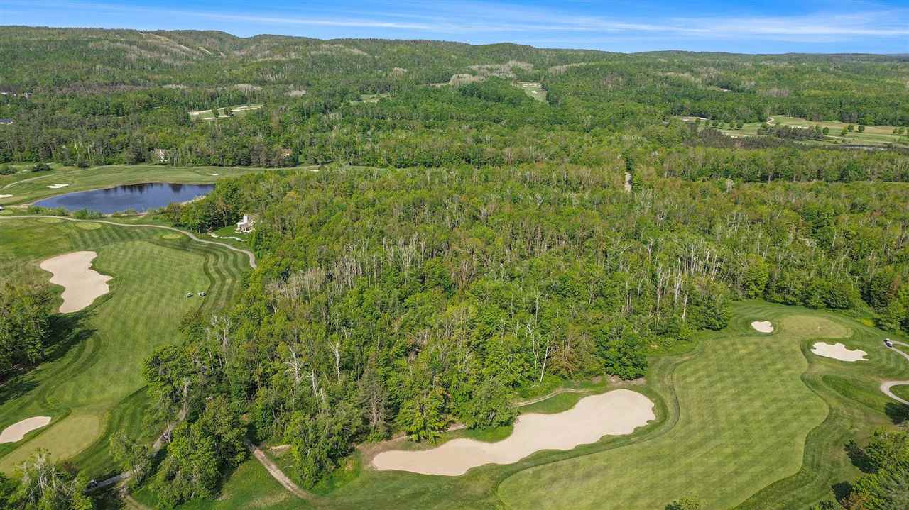 4121 East Ridge Court Harbor Springs MI 49740