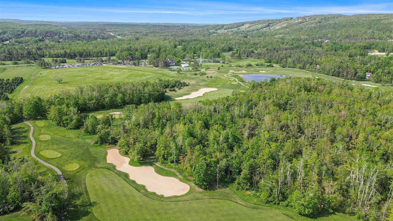 4121 East Ridge Court Harbor Springs MI 49740