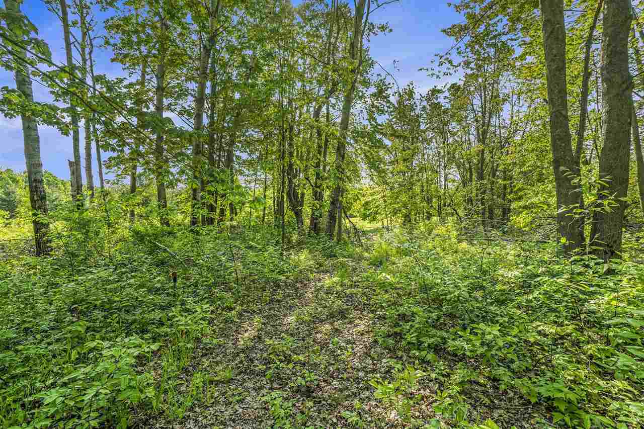 4121 East Ridge Court Harbor Springs MI 49740