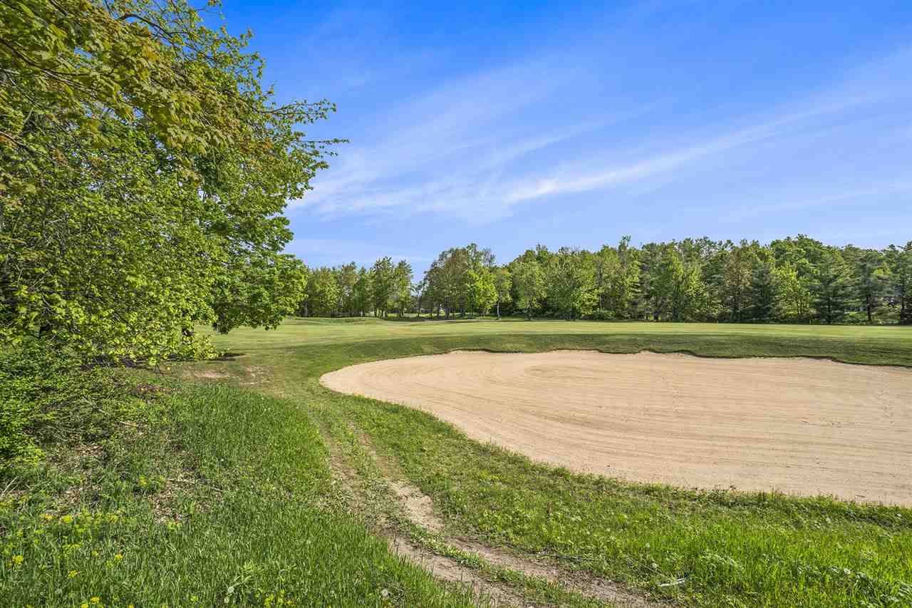 4121 East Ridge Court Harbor Springs MI 49740