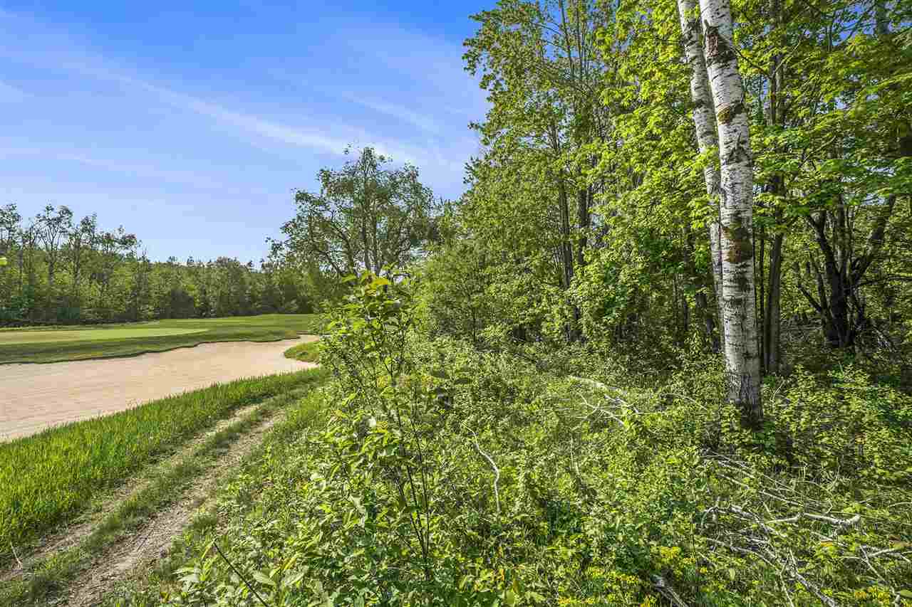 4121 East Ridge Court Harbor Springs MI 49740