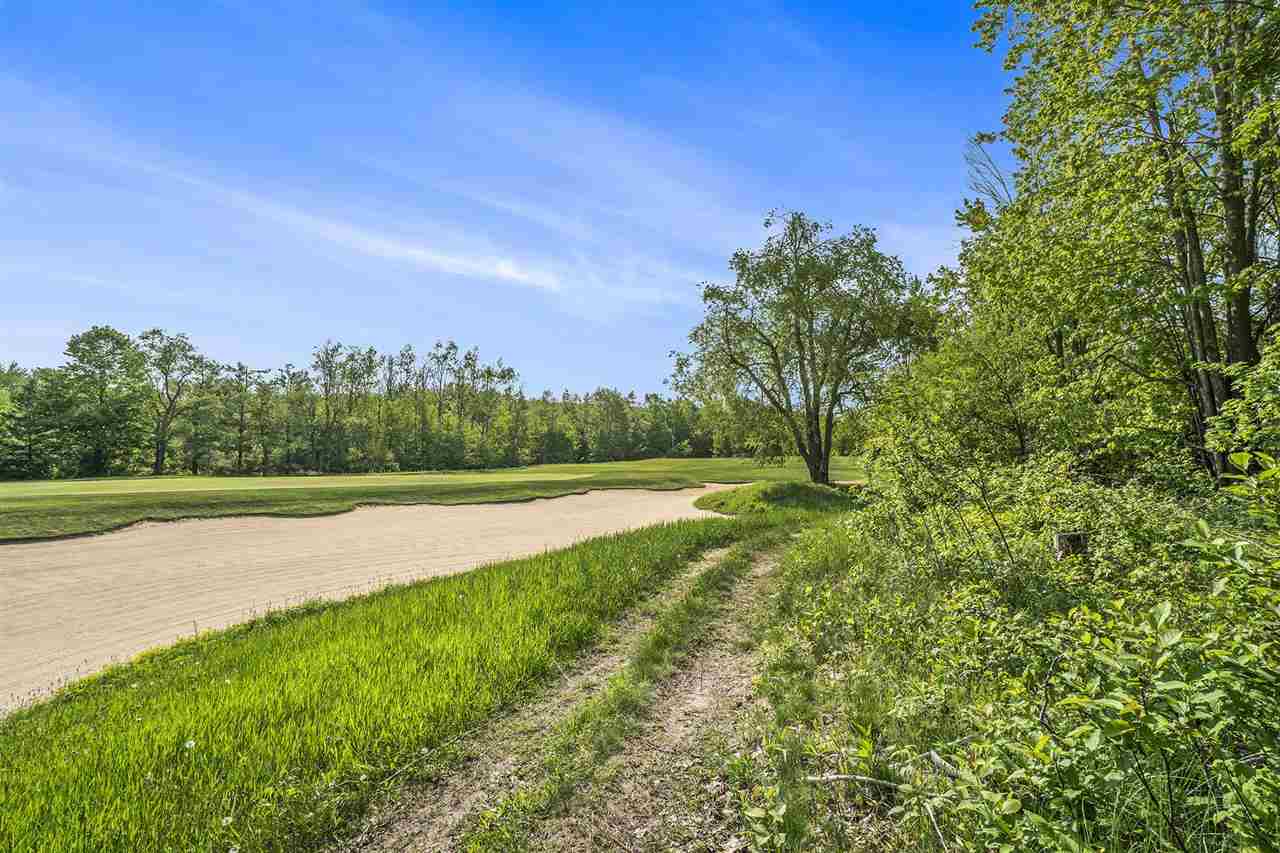 4121 East Ridge Court Harbor Springs MI 49740