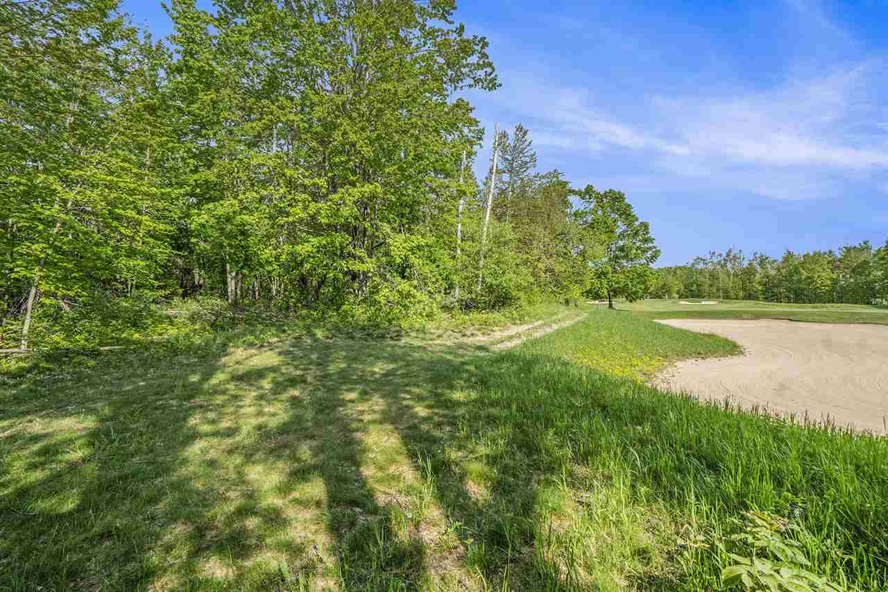 4121 East Ridge Court Harbor Springs MI 49740