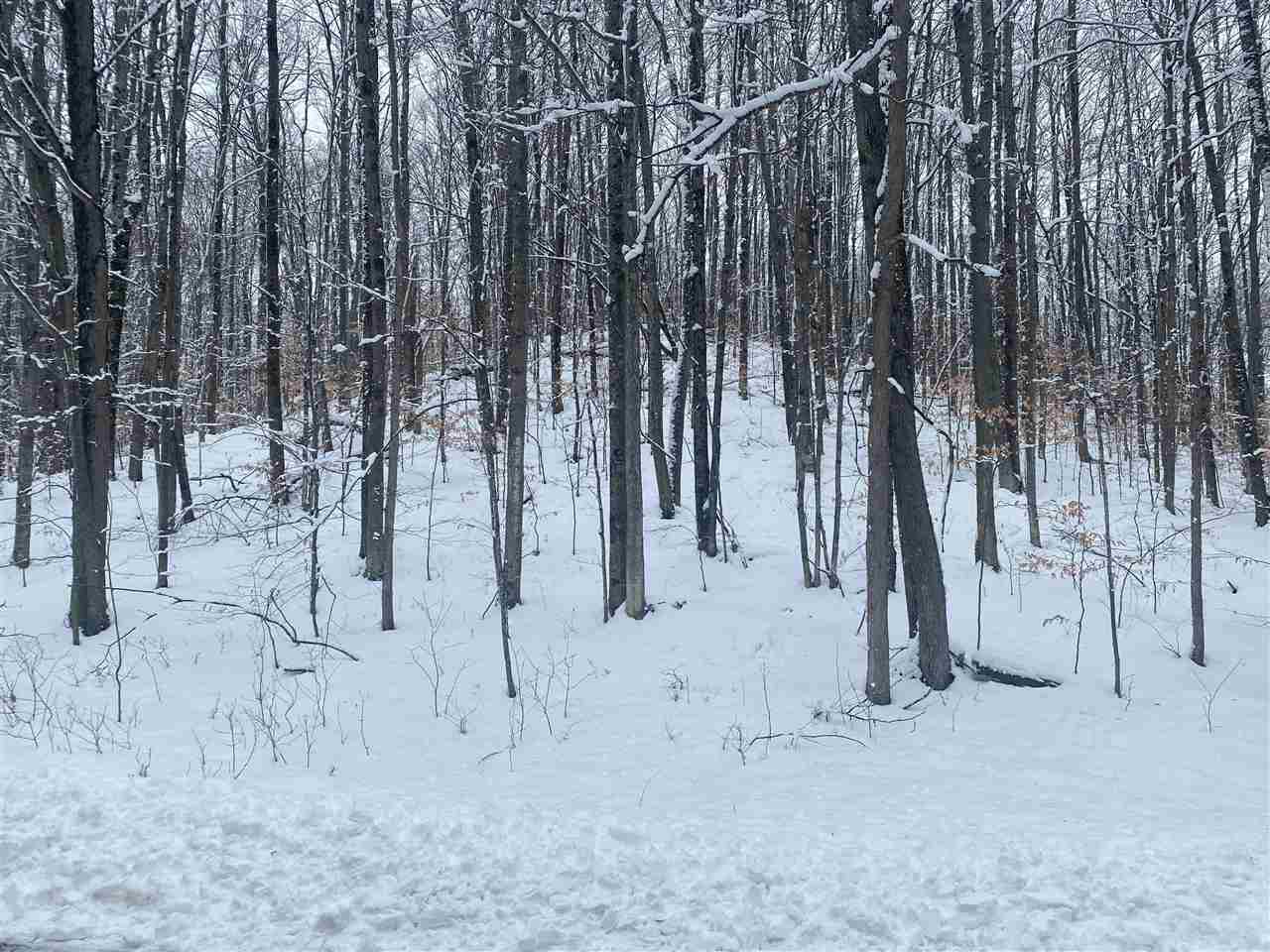 Lot 130 Maromir Court Bellaire MI 49615