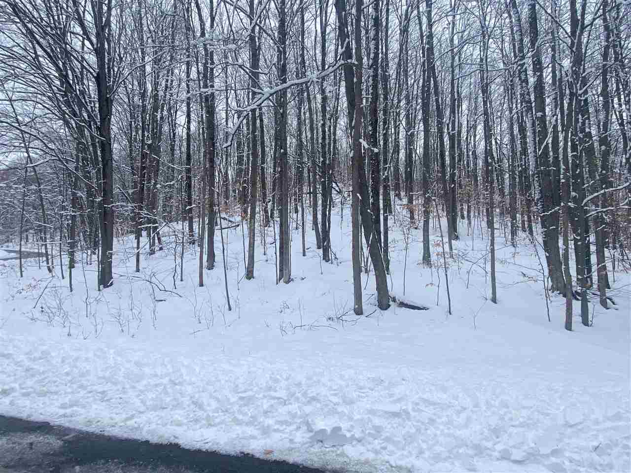 Lot 130 Maromir Court Bellaire MI 49615