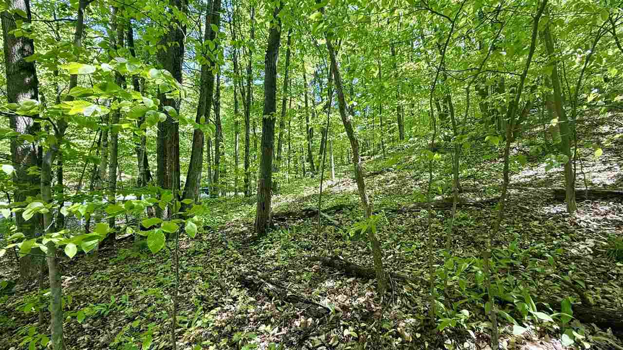 Lot 130 Maromir Court Bellaire MI 49615