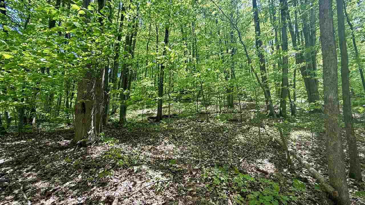 Lot 130 Maromir Court Bellaire MI 49615
