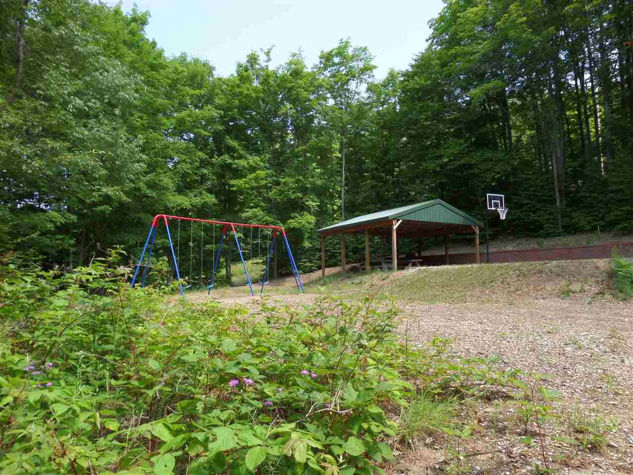 Lot 130 Maromir Court Bellaire MI 49615