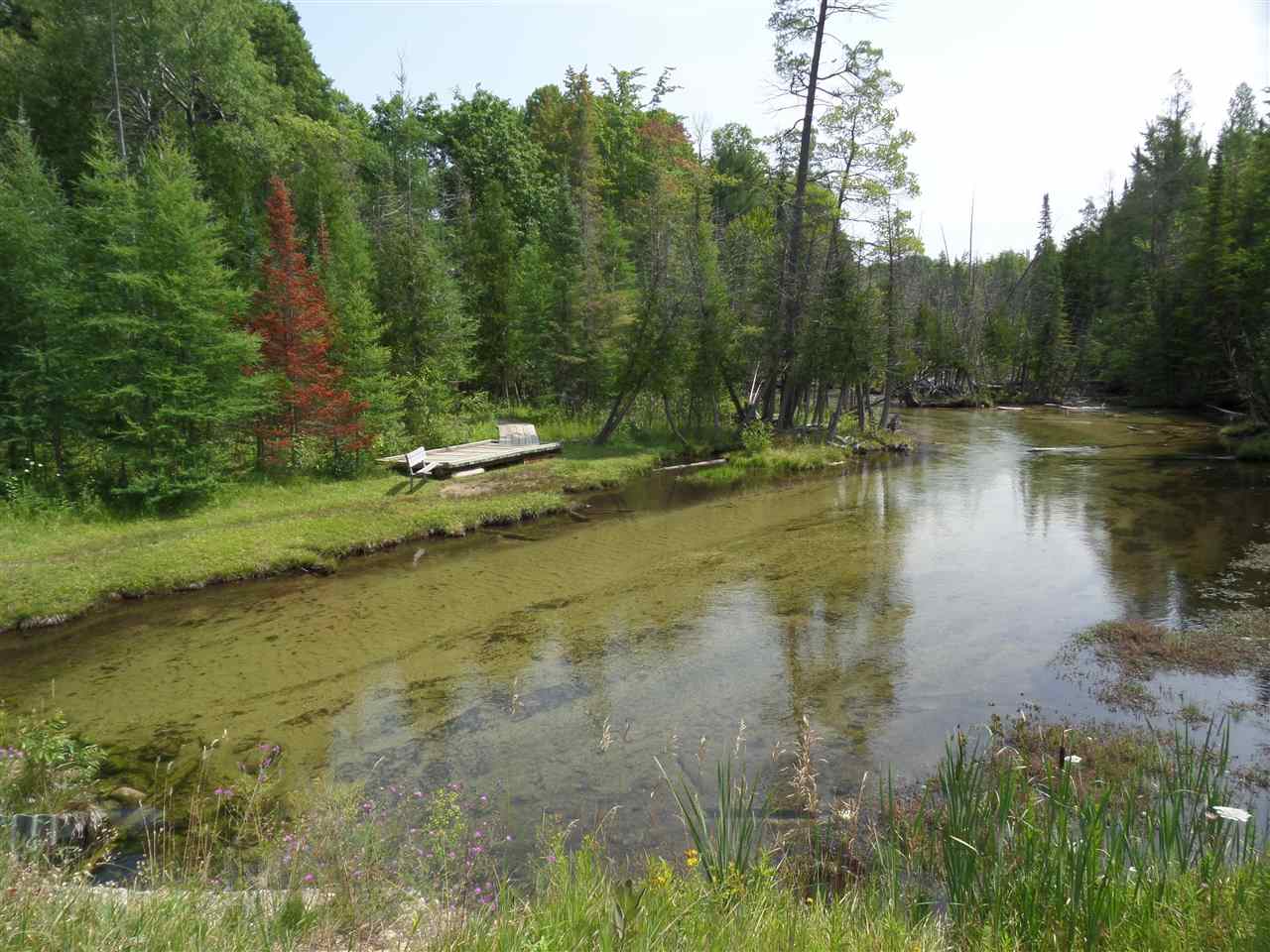 Lot 130 Maromir Court Bellaire MI 49615