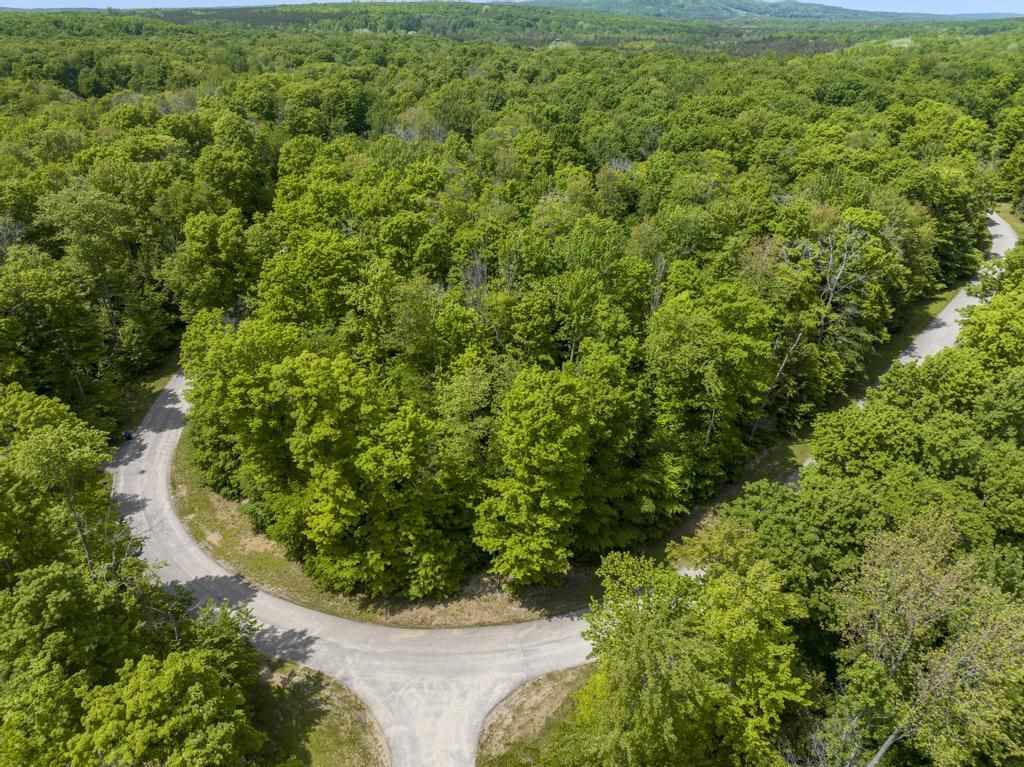 8058 Pleasantview Woods Drive Harbor Springs MI 49740