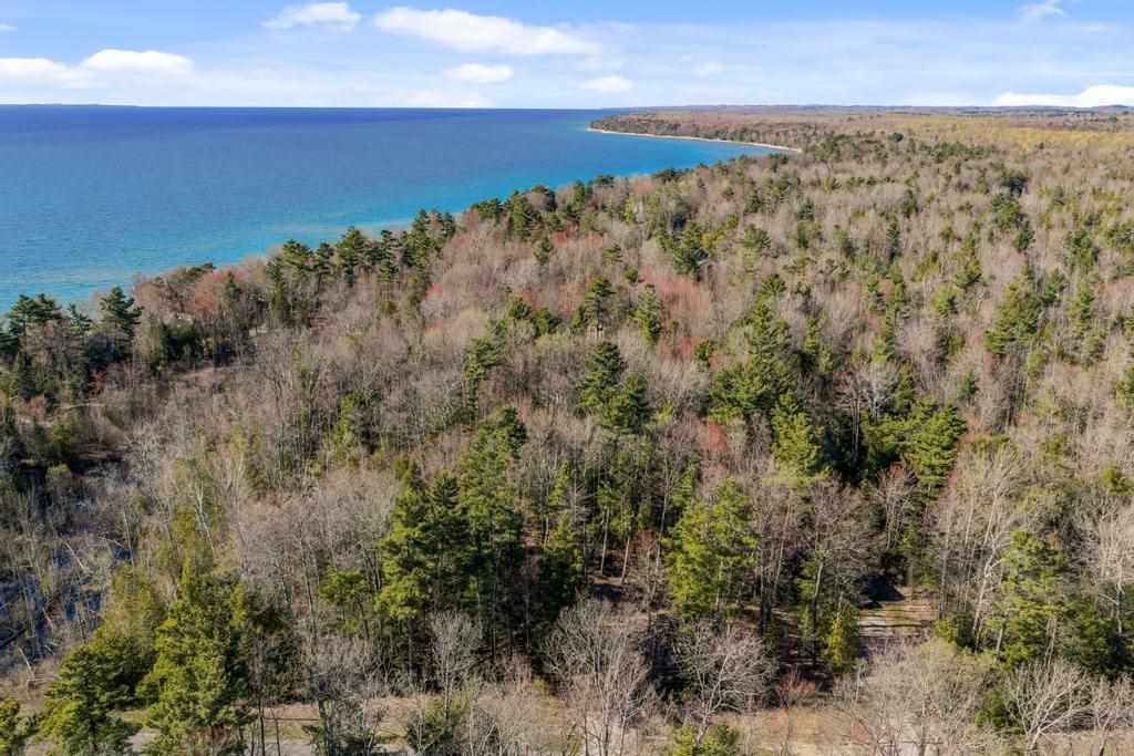 14294 Erickson Road Kewadin MI 49648