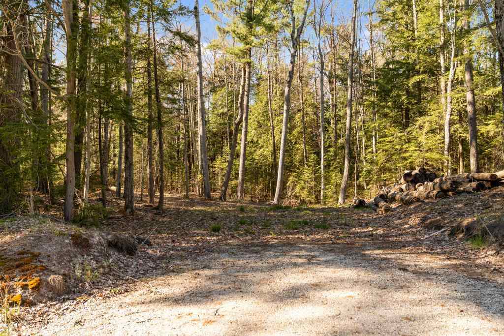 14294 Erickson Road Kewadin MI 49648
