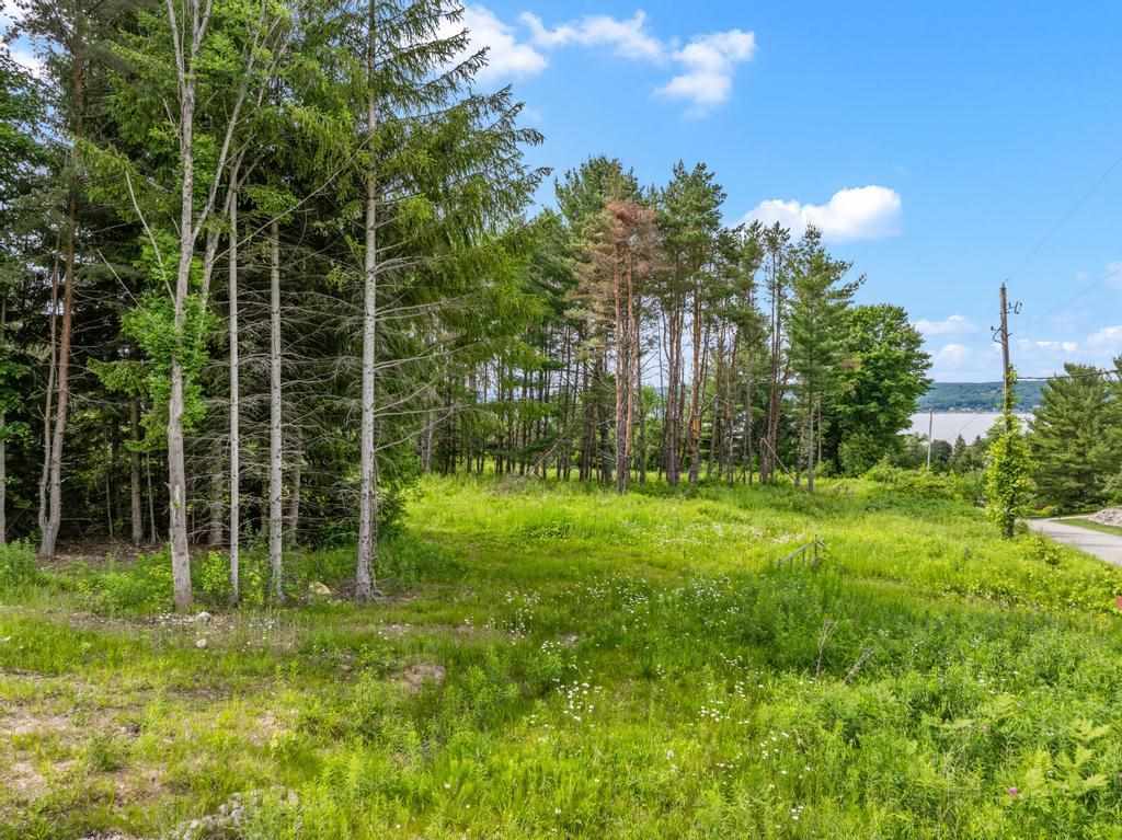 Tbd Bay Ridge Lane Boyne City MI 49712