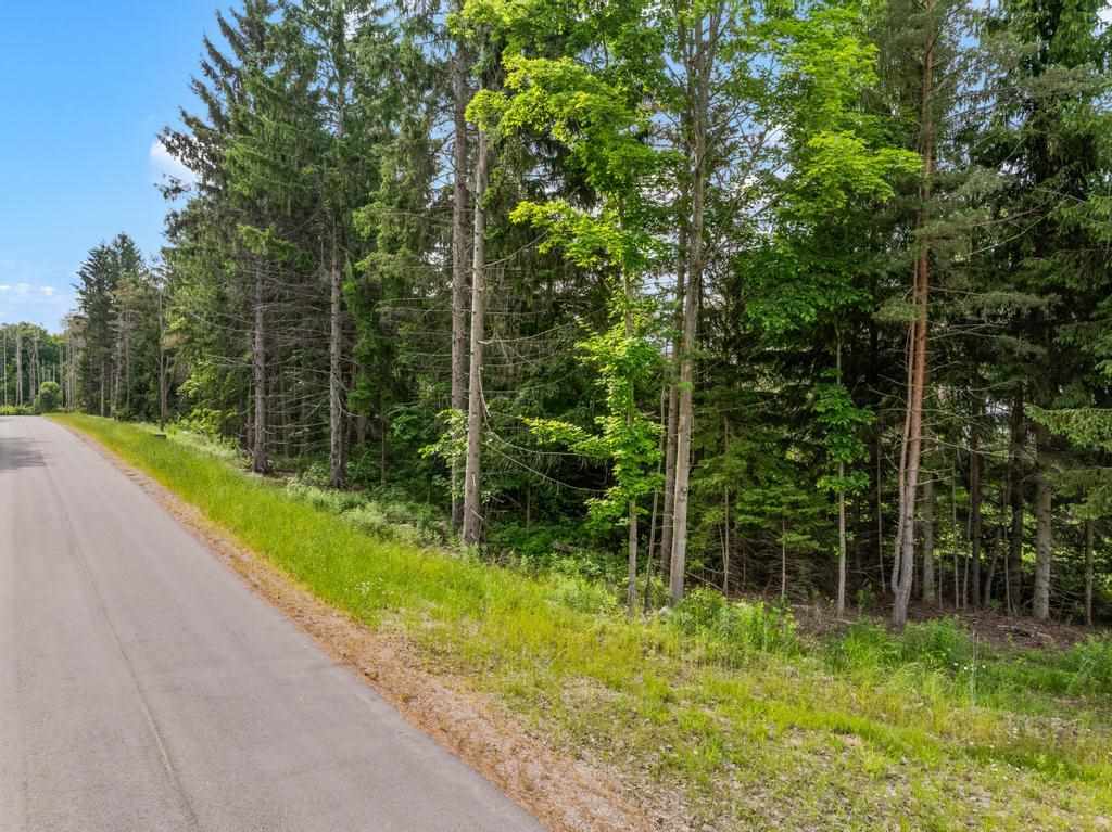 Tbd Bay Ridge Lane Boyne City MI 49712