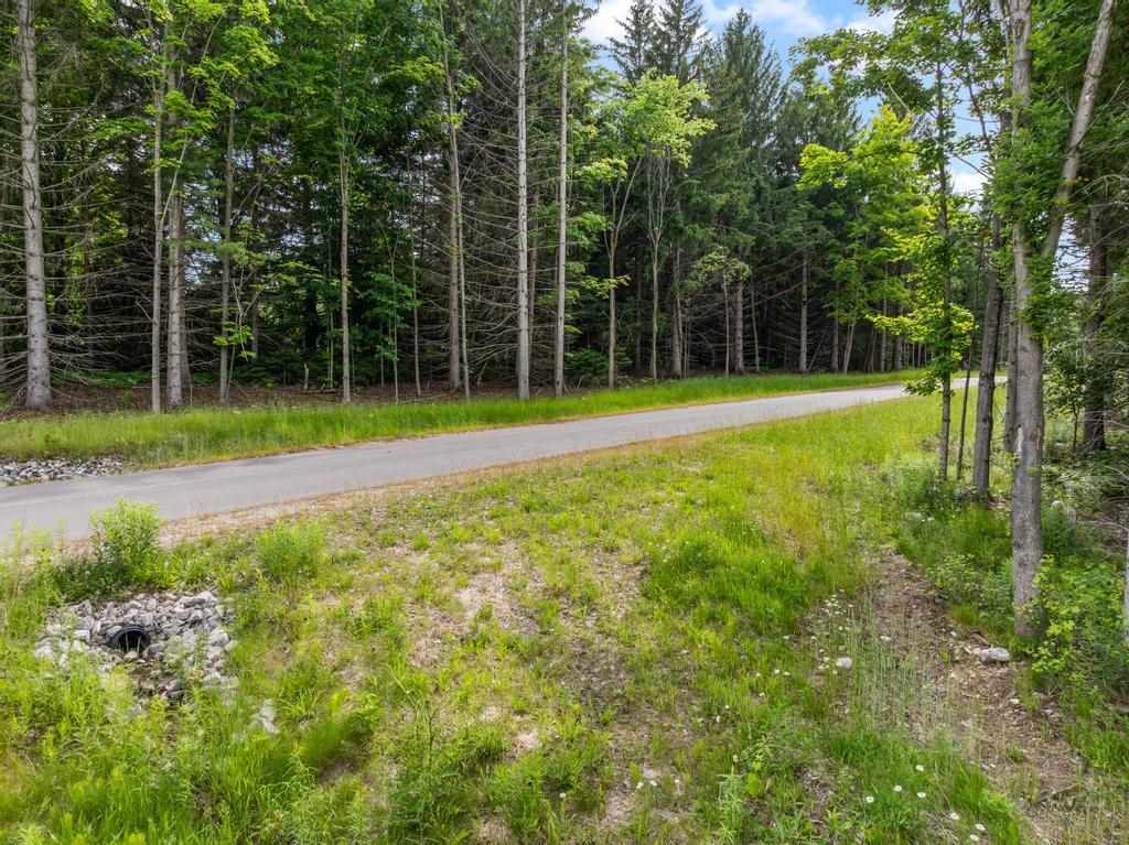Tbd Bay Ridge Lane Boyne City MI 49712
