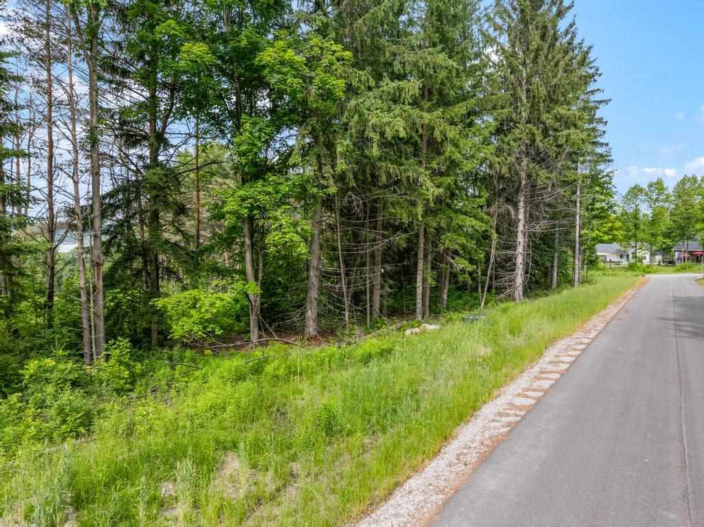 Tbd Bay Ridge Lane Boyne City MI 49712