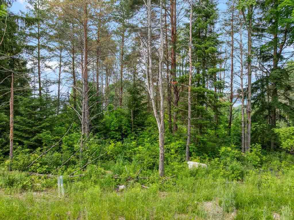 Tbd Bay Ridge Lane Boyne City MI 49712