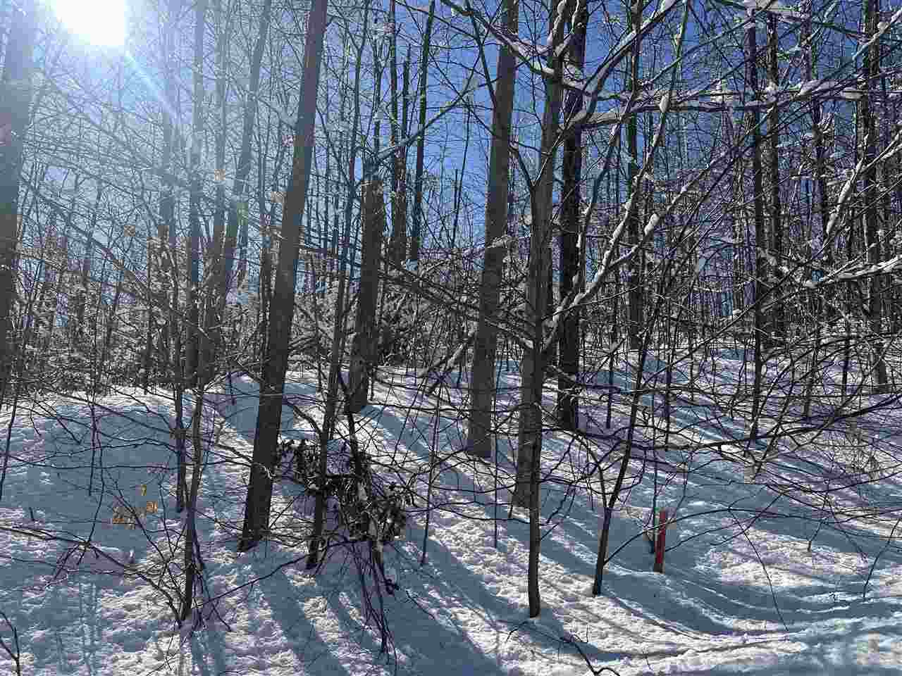 1339 Andover Club Drive Harbor Springs MI 49740