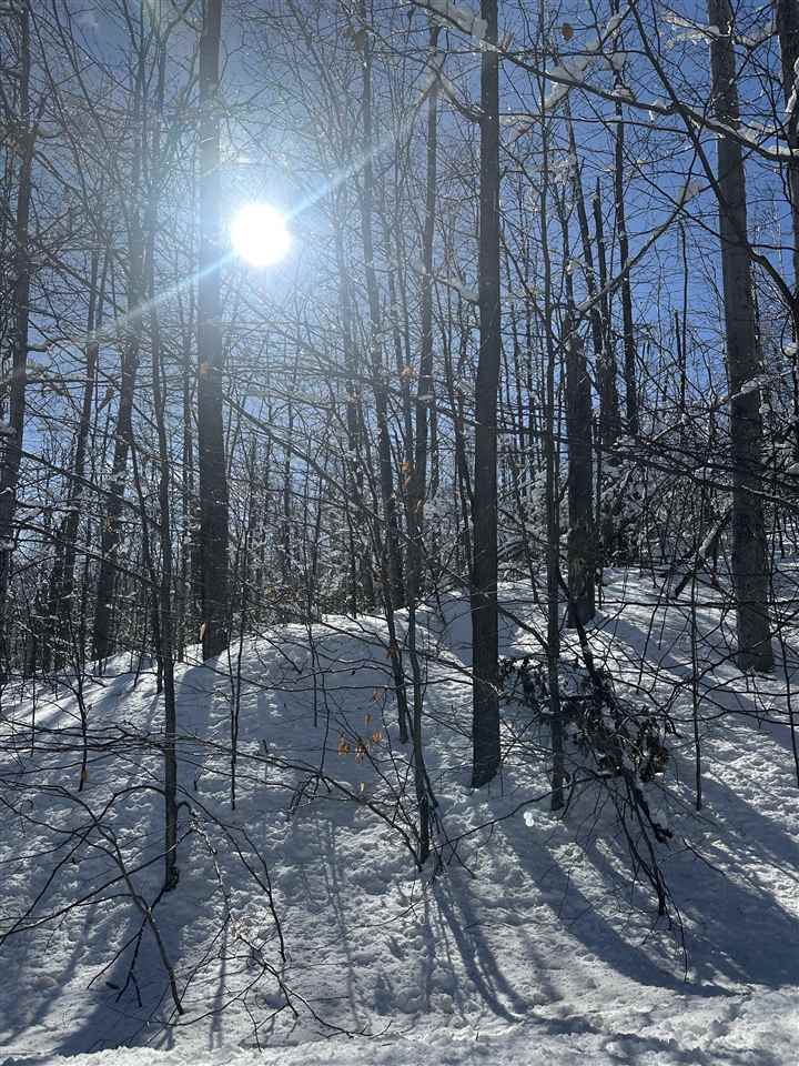 1339 Andover Club Drive Harbor Springs MI 49740