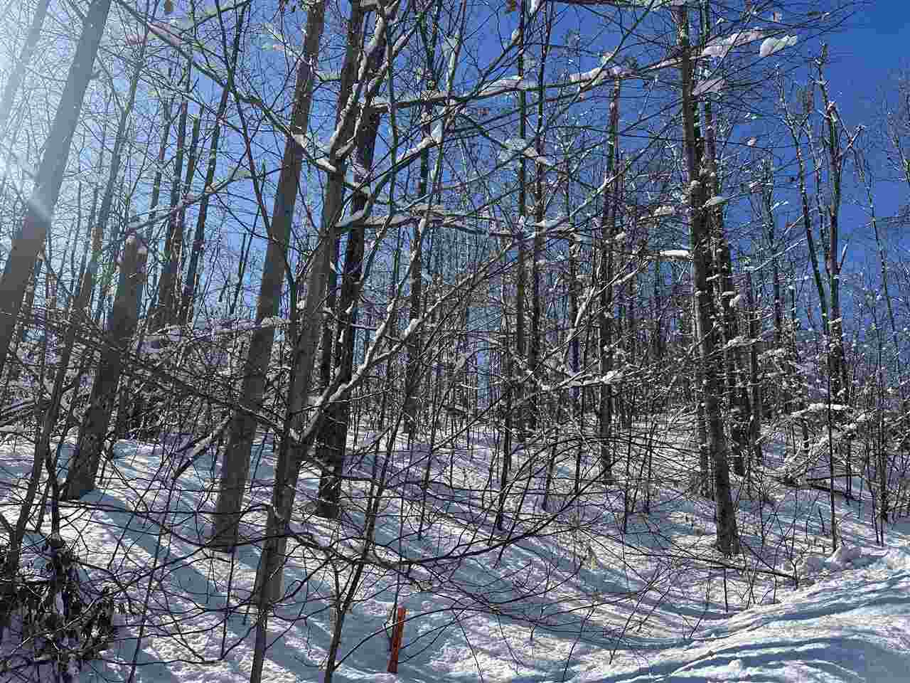 1339 Andover Club Drive Harbor Springs MI 49740