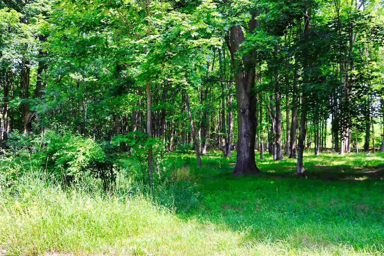 Tbd De Tars Court Charlevoix MI 49720