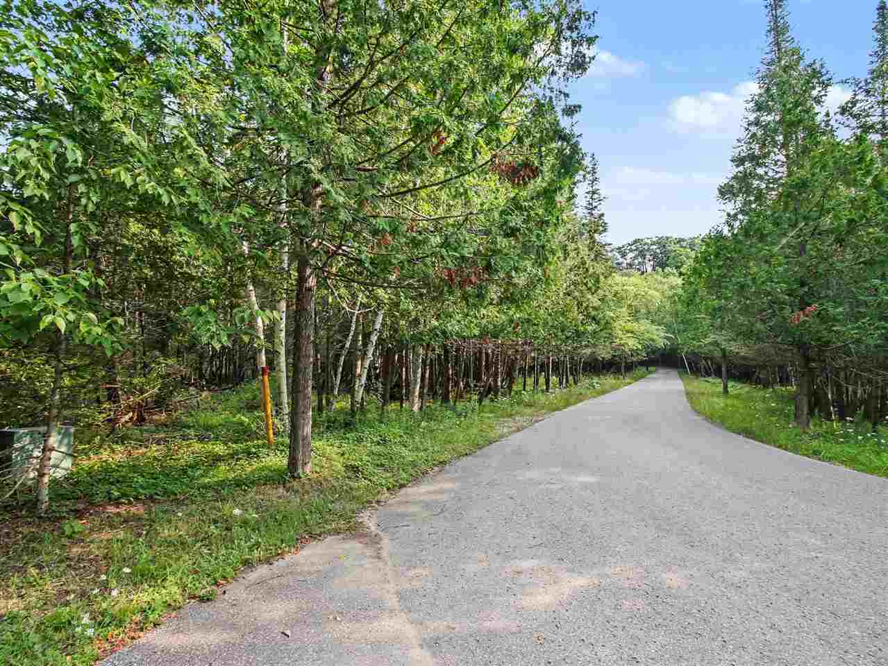 6802 Windemere Drive Harbor Springs MI 49740