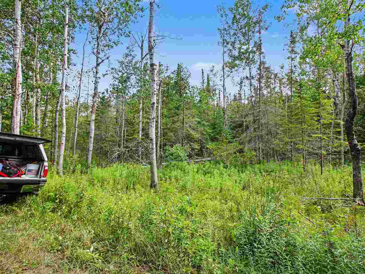 6802 Windemere Drive Harbor Springs MI 49740