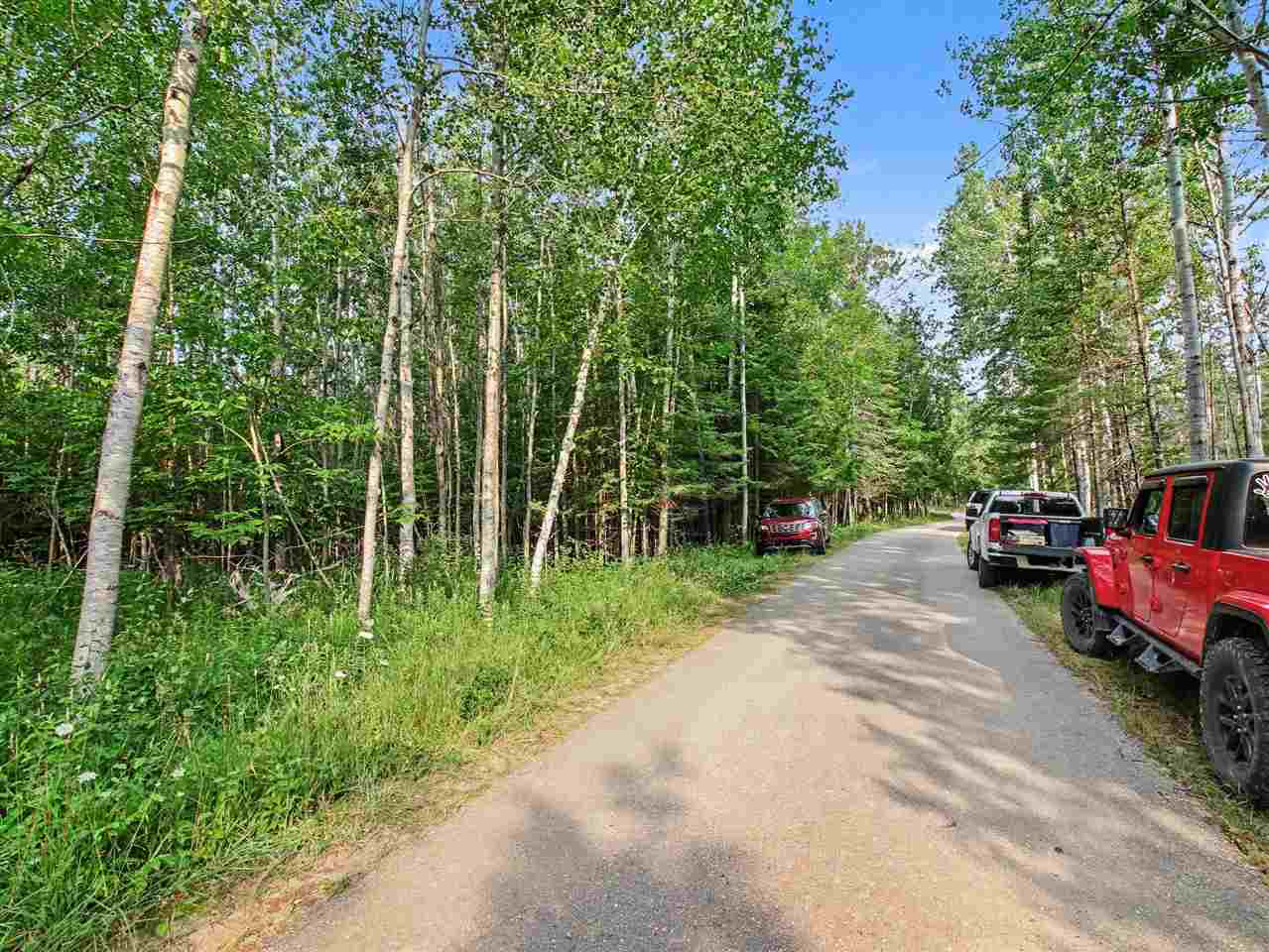 6802 Windemere Drive Harbor Springs MI 49740