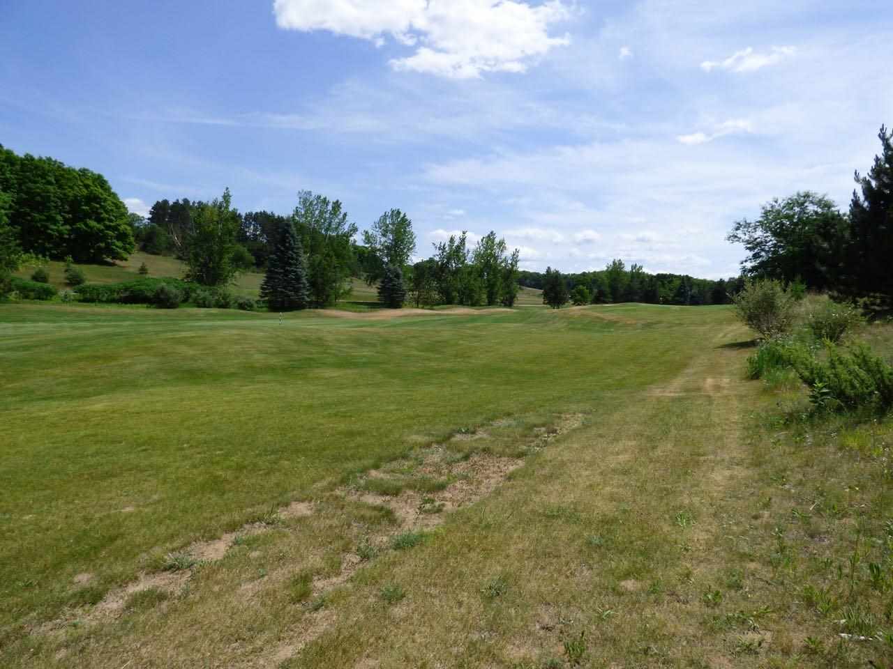 Unit 37 Golf Meadows Drive Bellaire MI 49615